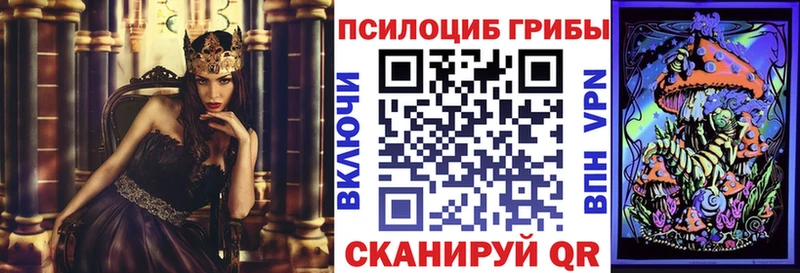Псилоцибиновые грибы ЛСД  omg tor  Зуевка  где купить наркотик 